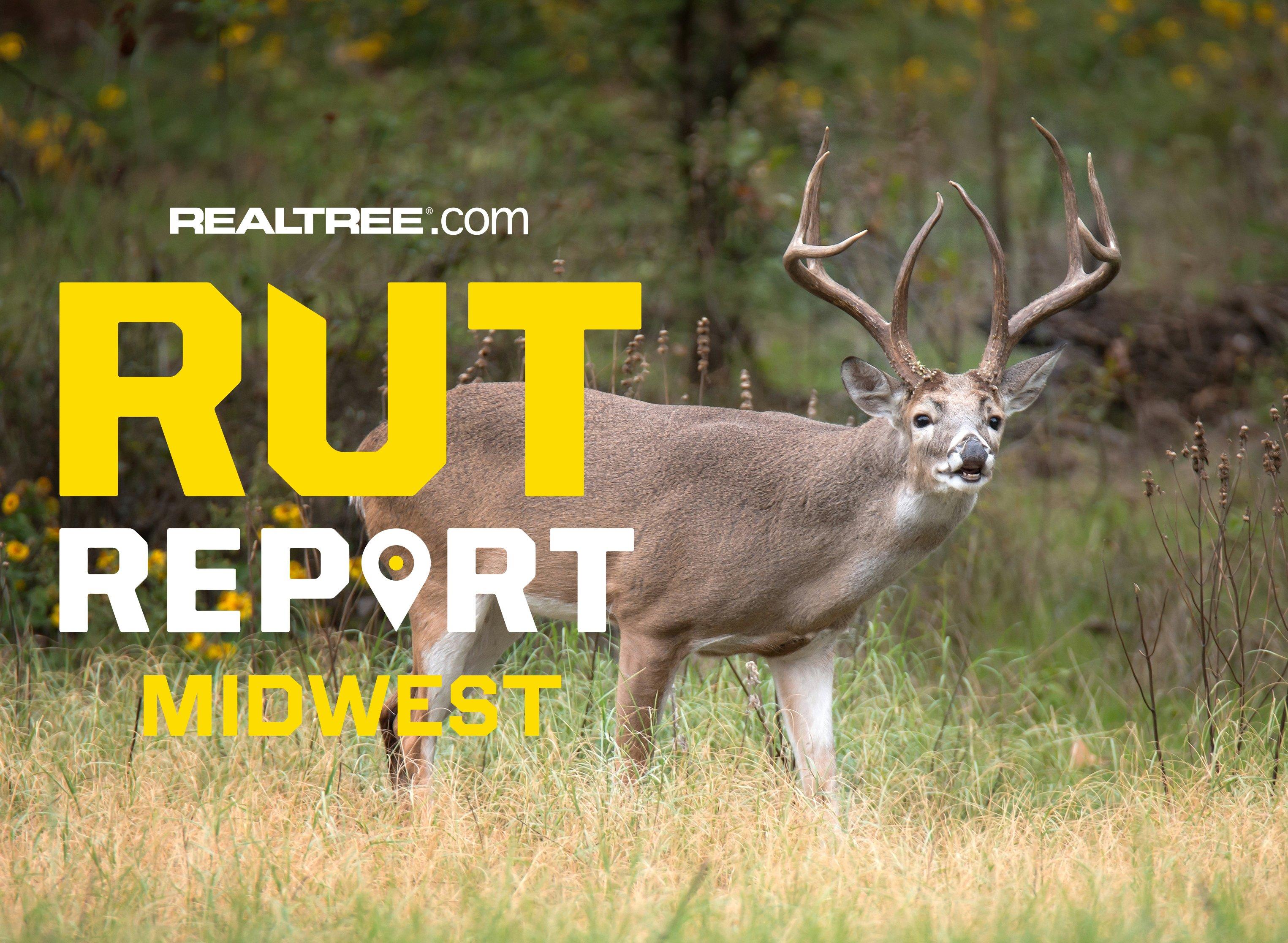 Midwest Rut Report | The Pre-Rut is Popping - Realtree Camo
