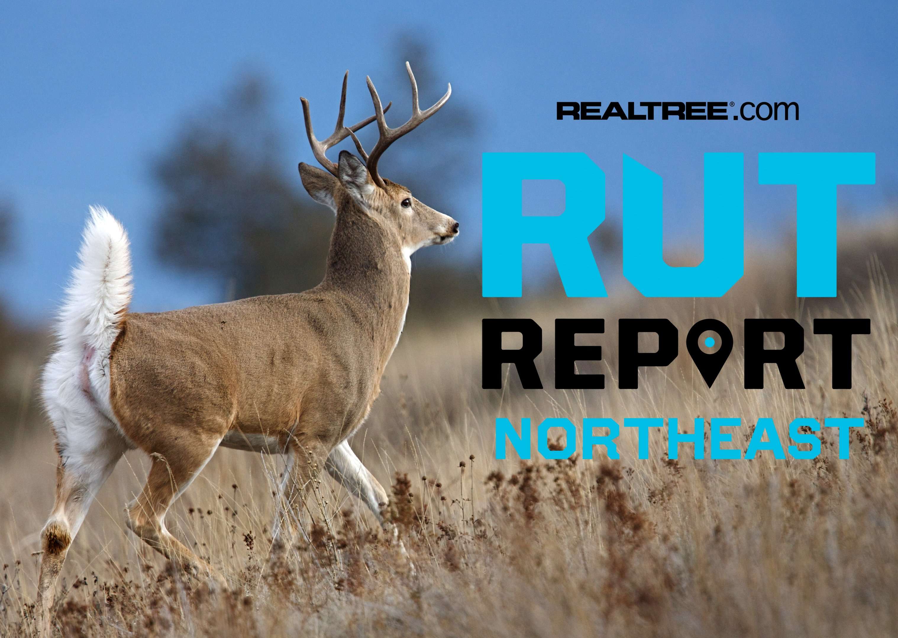 Northeast Rut Report Season Kickoff: A Quick Rewind and Hard Pivot ...