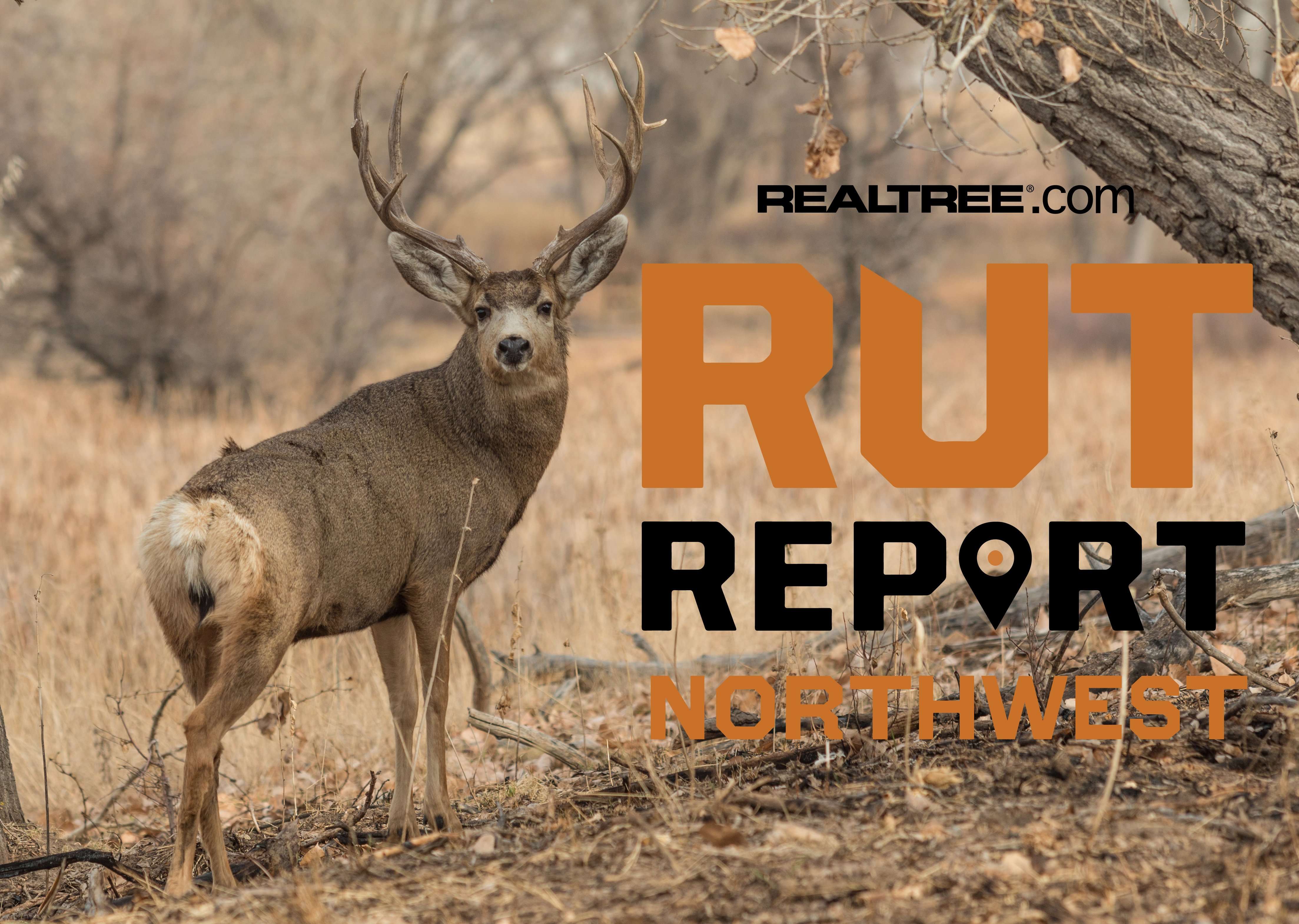 Northwest Rut Report: Hunters Encounter EHD in Montana and Idaho ...