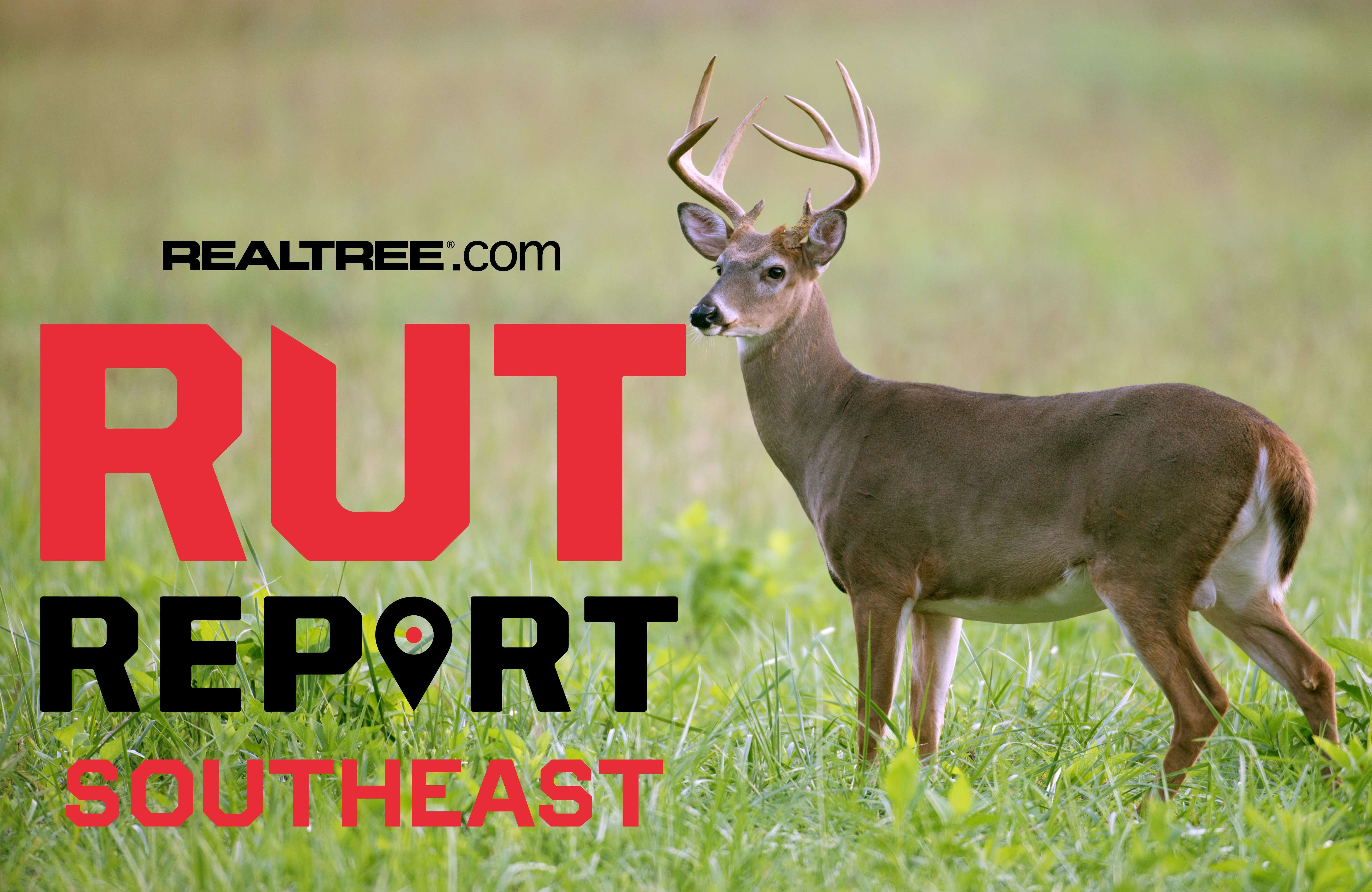 Southeast Rut Report Season Kickoff: Deer Moving Nocturnally Amid Hot ...