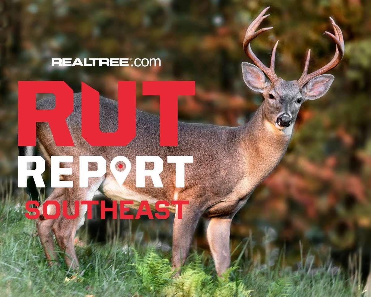 Southeast Rut Report | Deer Activity Heats up with Cooler Weather ...