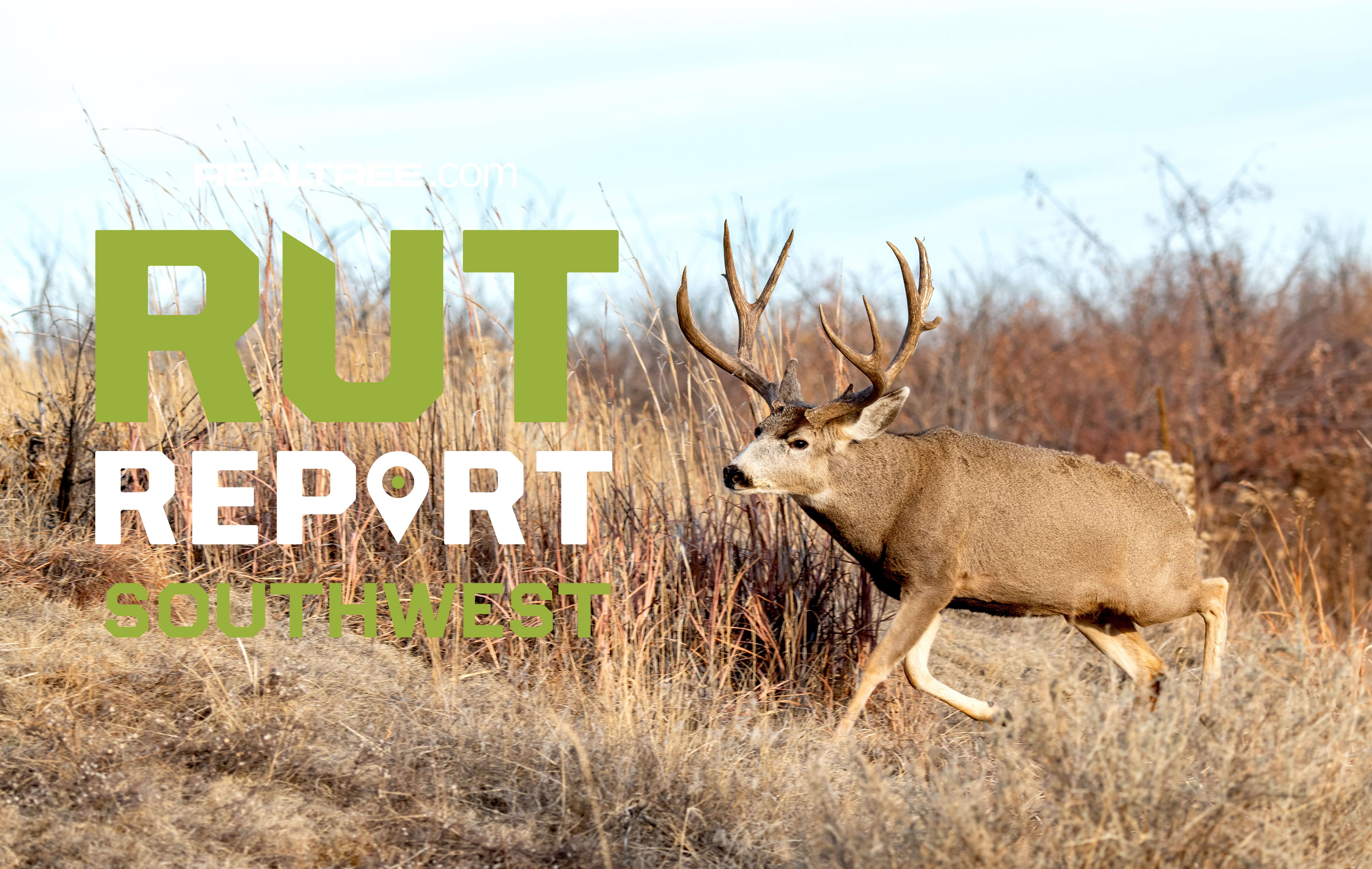 South Texas Rut Southwest Rut Report: Parts of Texas are on Fire; Early Activity is ...
