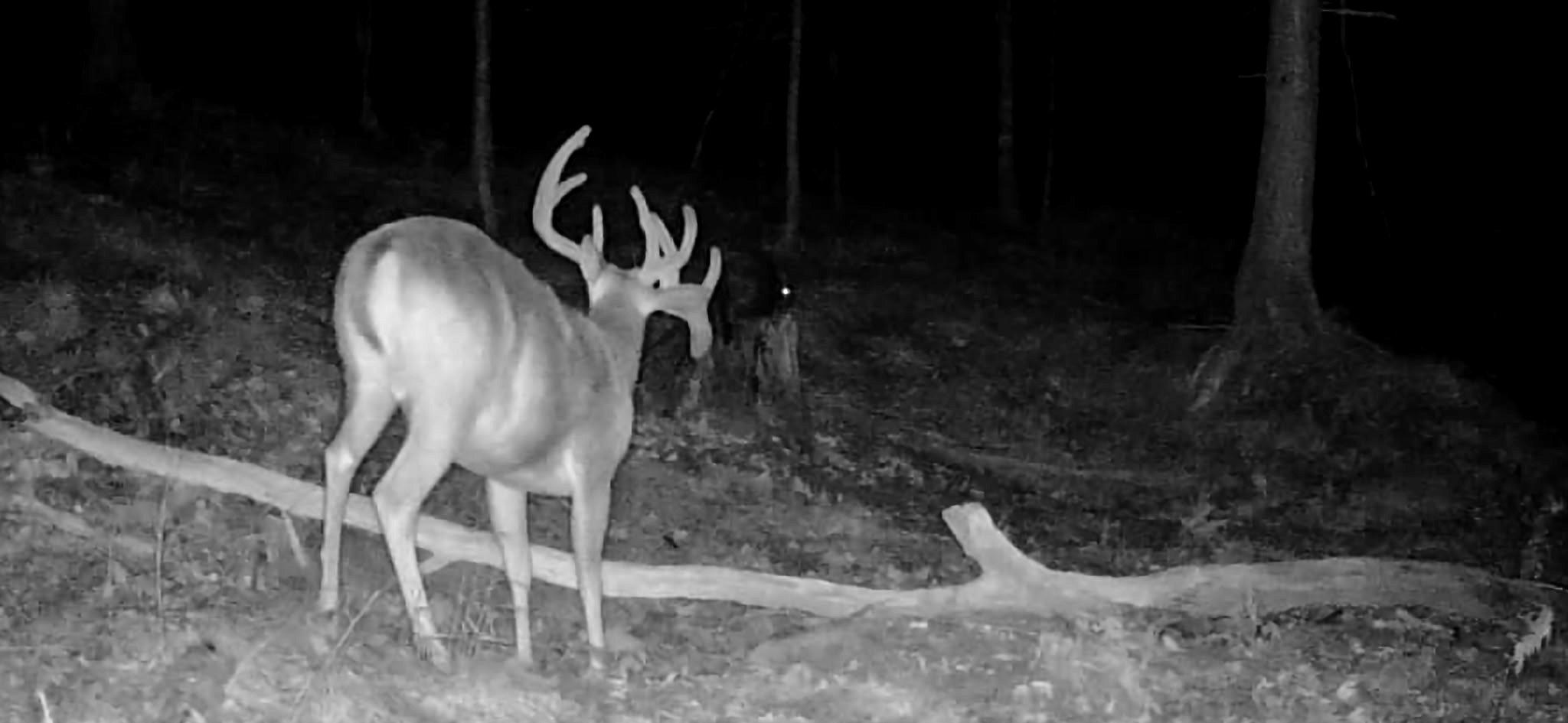 Image: rr_vandenbogart_2