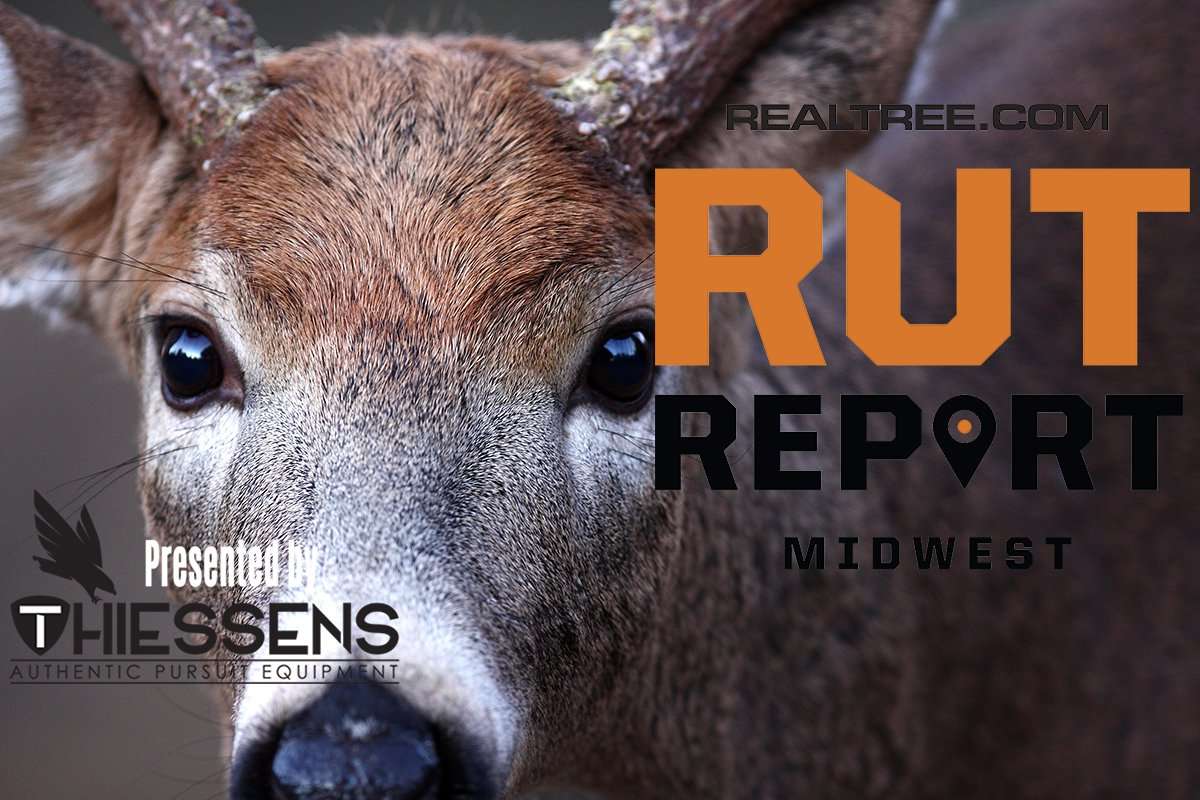 Midwest Rut Report: Cash in on Coming Cold Front - Realtree Camo