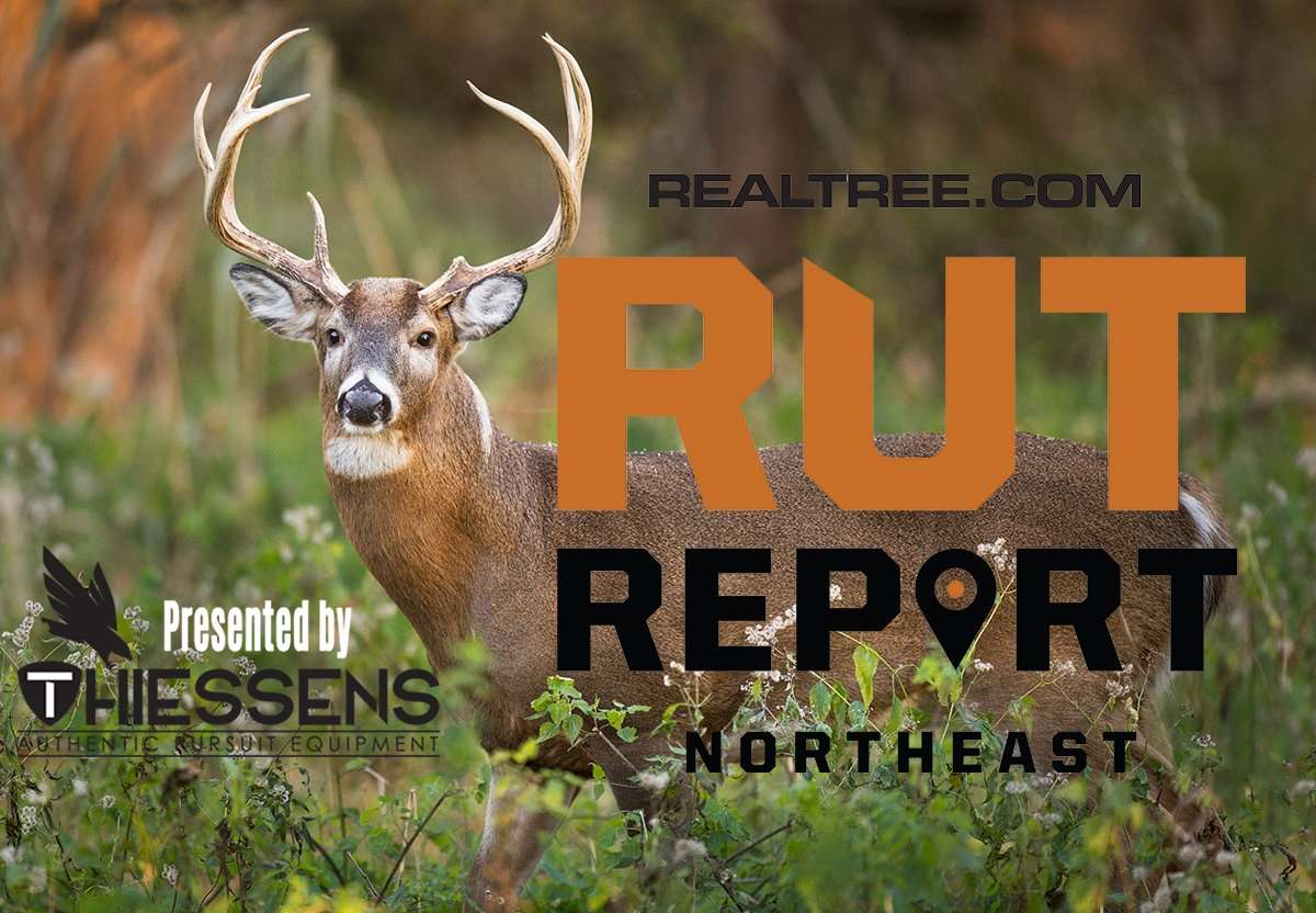 Northeast Rut Report: Latest Cold Front Should Produce Daylight Deer Movement - rt-10-11-ray_hennessy-shutterstock-ne