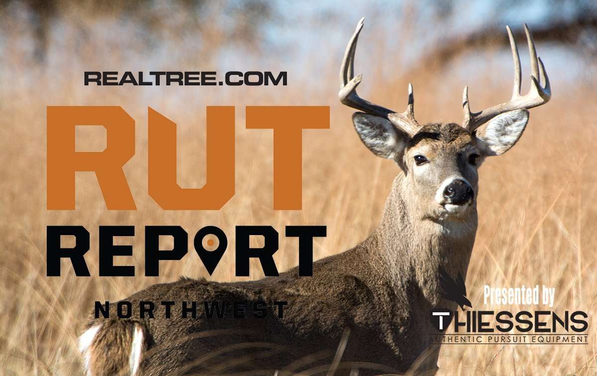 Northwest Rut Report: Daylight Deer Movement Is Picking Up - rt-10-11-william_t_smith-shutterstock-nw_0