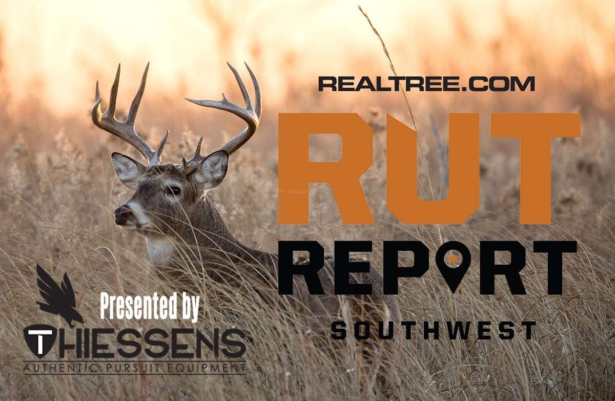 Southwest Rut Report: Expect Daylight Movement to Improve This Weekend - rt-10-11-william_t_smith-shutterstock-sw