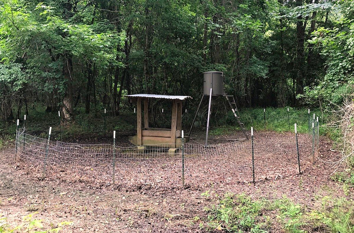 Putting up a 3-foot-high fence around feeders should keep out the pigs. (Ron Jolly photo)