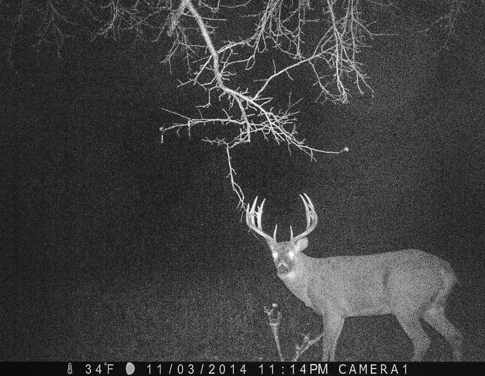 It's common to get photos of giants, like this one. We obsess over these bucks and constantly strategize on ways to kill them. Sadly, most we never even see in person. (Scott Bestul photo)