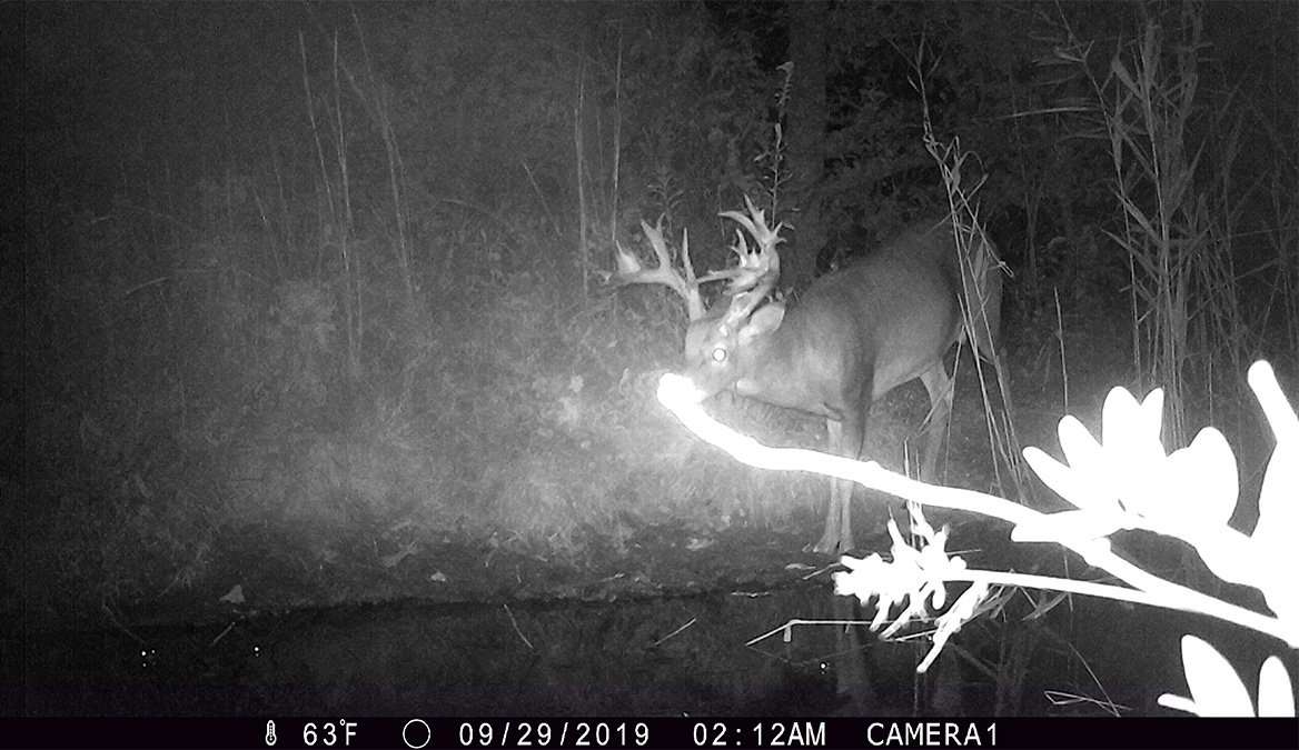Trail cameras played an integral role in hunting this big whitetail. (Jimmy Tapp photo) Trail cameras played an integral role in hunting this big whitetail. (Jimmy Tapp photo)