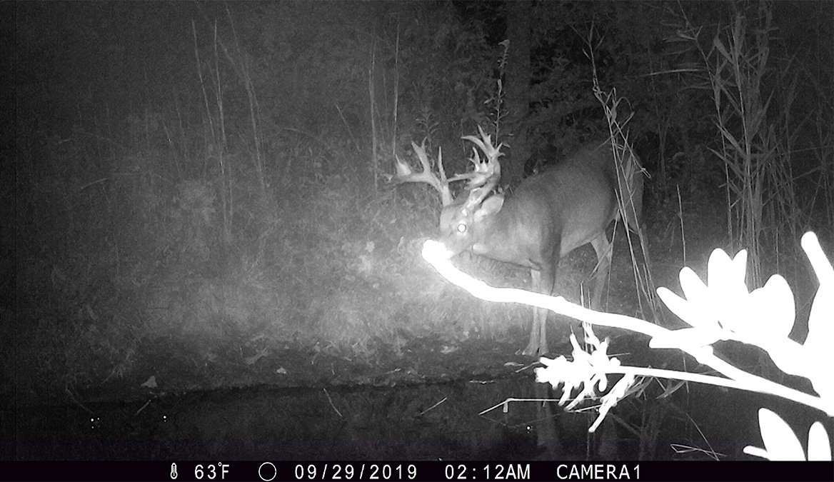 Trail cameras played an integral role in hunting this big whitetail. (Jimmy Tapp photo)
