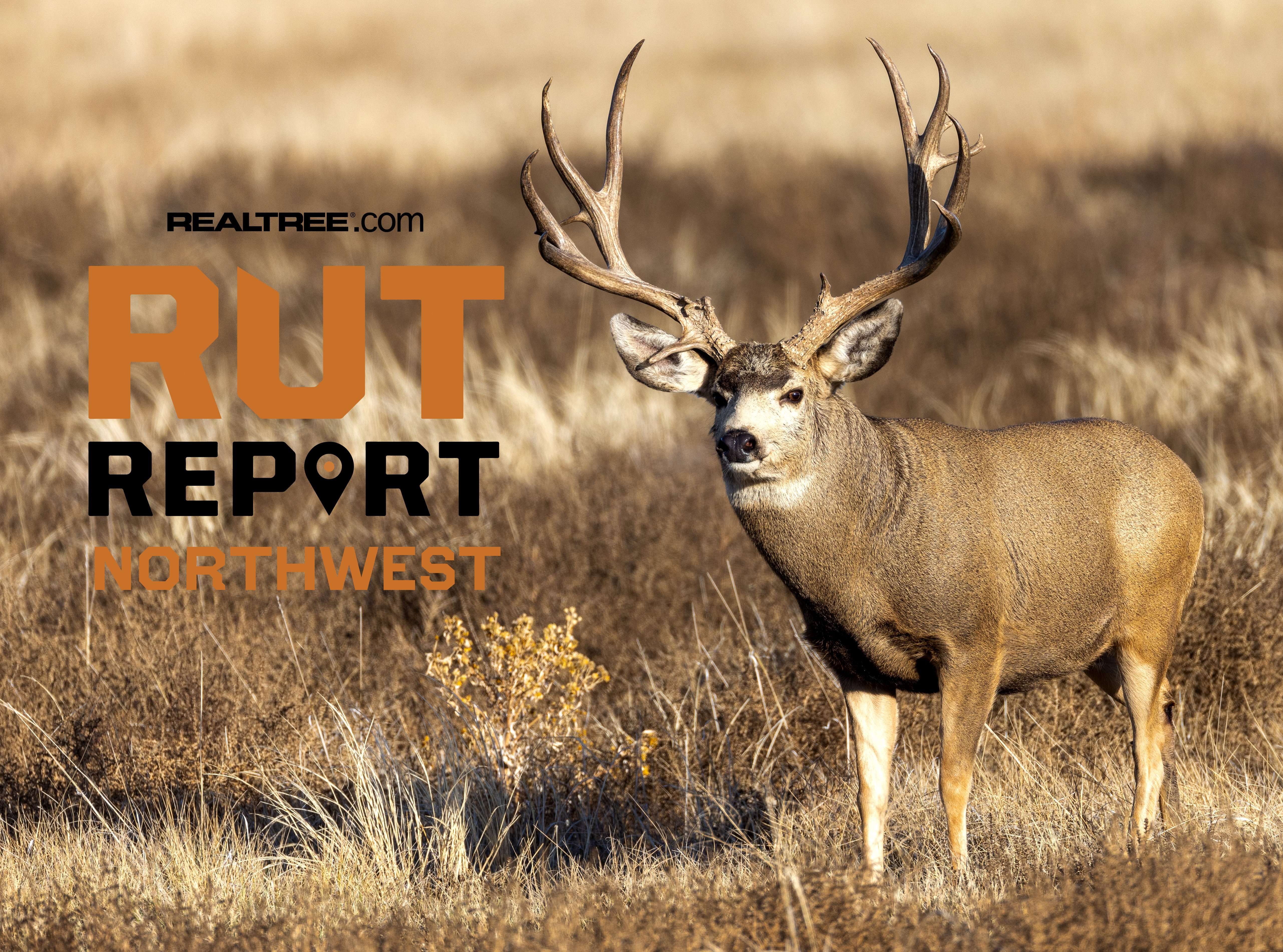 Northwest Rut Report Season Kickoff: Deer Numbers are Up and so is Fire ...