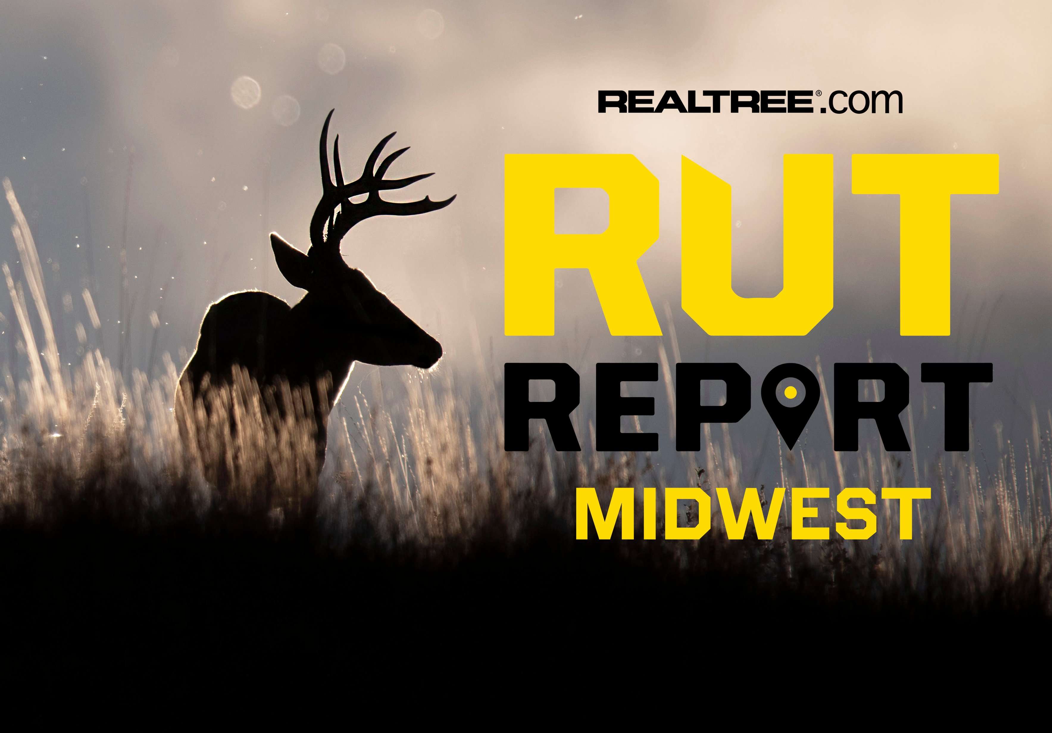 Midwest Rut Report, Week 2: It’s the Calm Before the Storm, Folks ...