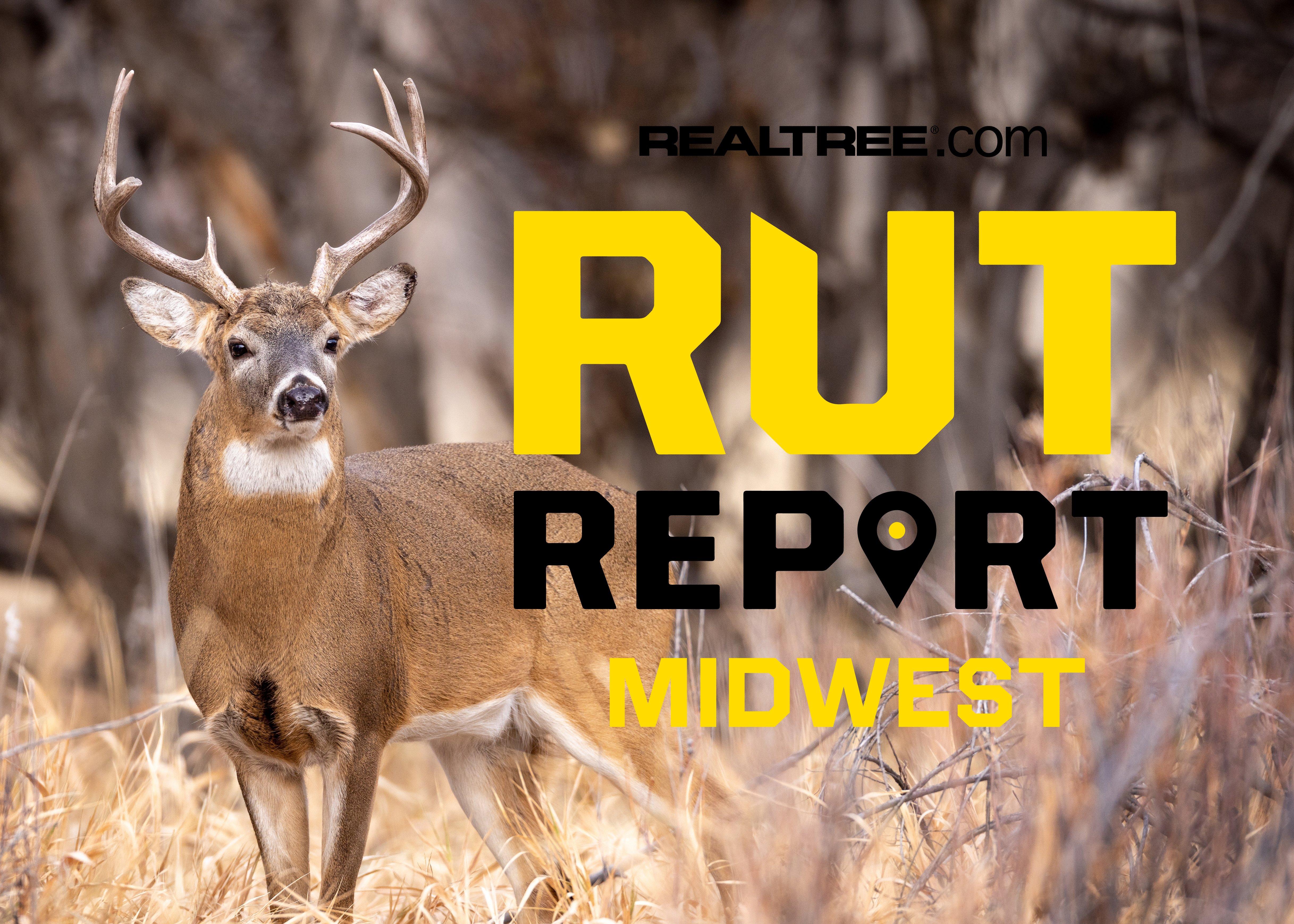 Image: rut_report_mw