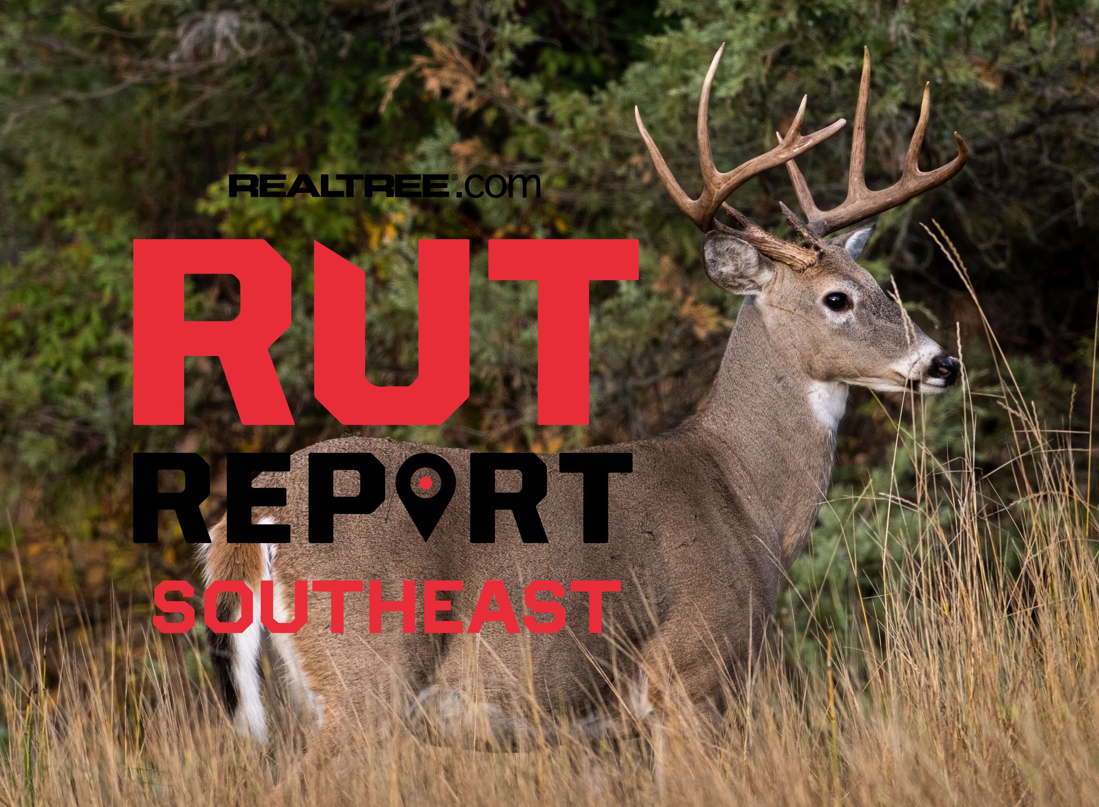 Southeast Rut Report, Week 2: Warm Weather and Nocturnal Movement ...