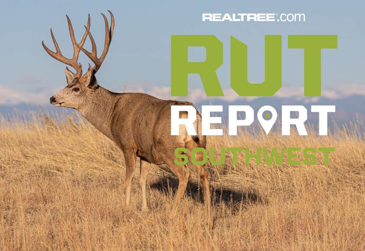 Southwest Rut Report Season Kickoff: New Regulations and Coastal ...