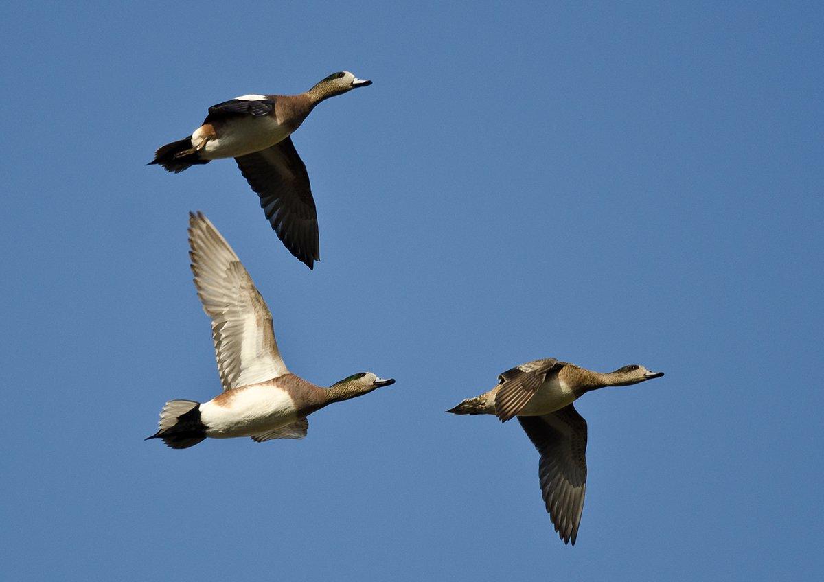 Photo © rck_953/Shutterstock