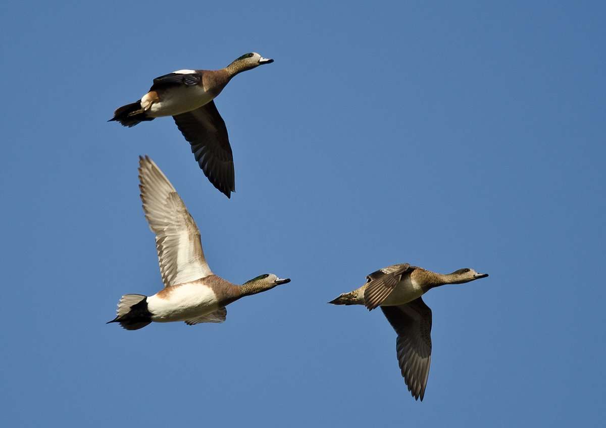 Photo © rck_953/Shutterstock Photo © rck_953/Shutterstock