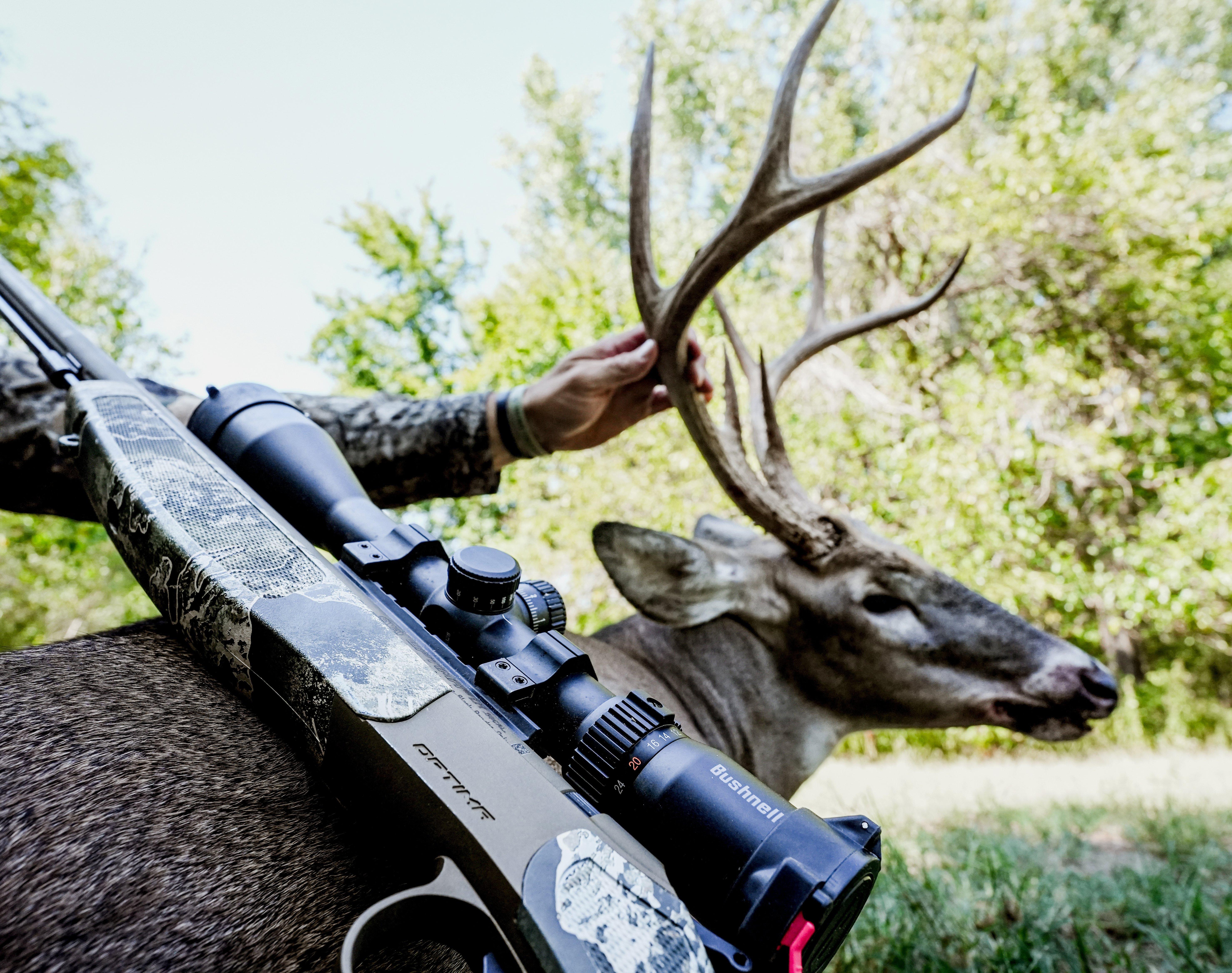Image: scope_mounting_3