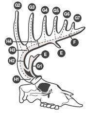 Image: score-your-rack-measurements