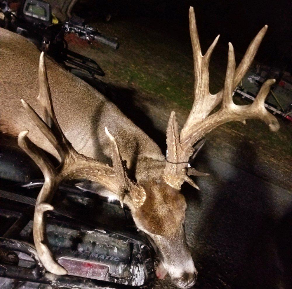 The buck green scored 205 7/8.