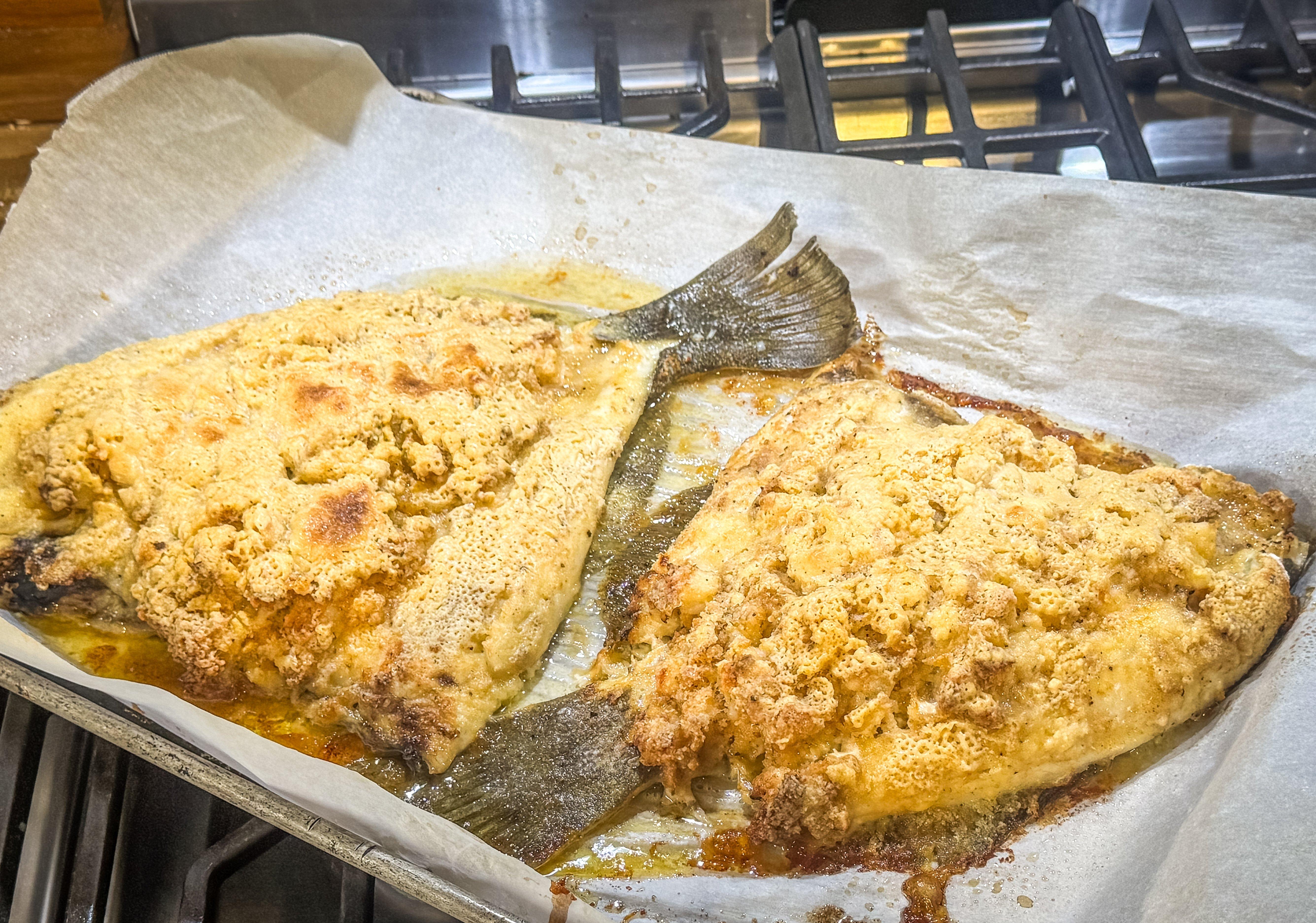 Image: shrimp_flounder_11