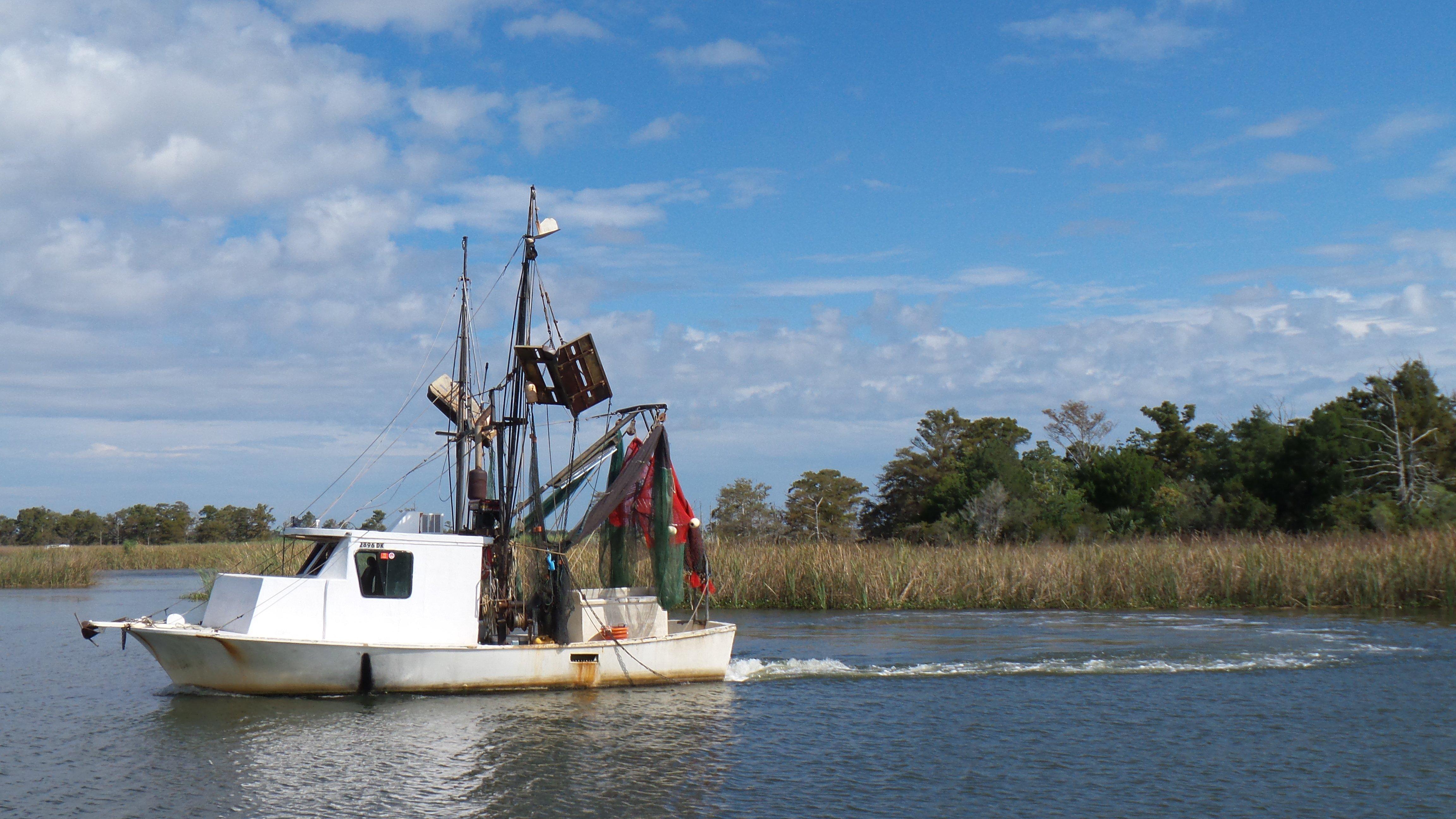 A shrimp boat heads in from the bay.