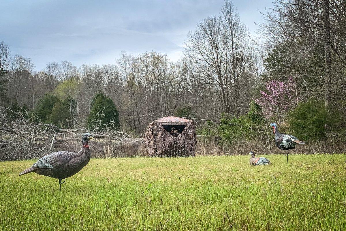 We simply adopted the deer stand approach of popping up a blind and waiting. © Michael Pendley photo