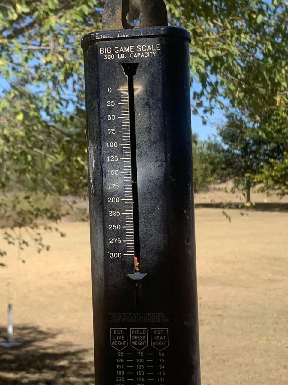 Few whitetails pull the scales beyond 300 pounds, but this one did. (Hunt United photo) Few whitetails pull the scales beyond 300 pounds, but this one did. (Hunt United photo)