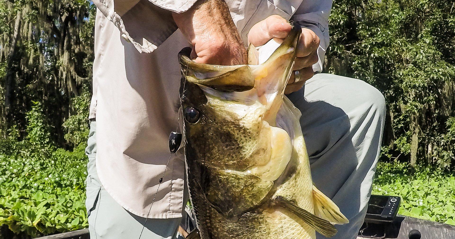 Punching Match: Slop Fishing Tactics for Giant Bass - Realtree Camo