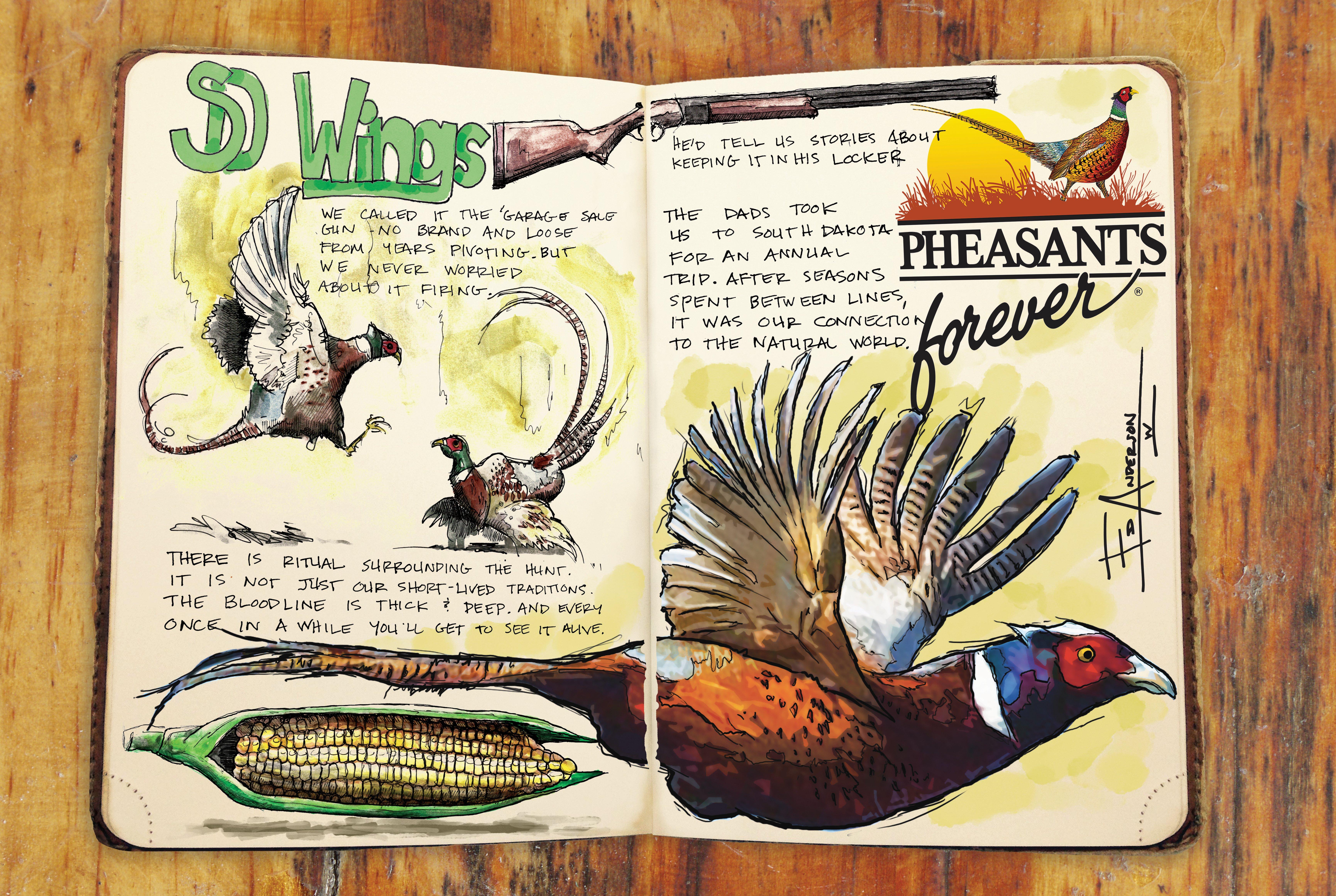 Take a look at artist Ed Anderson's hunting journal. (© Ed Anderson illustration)