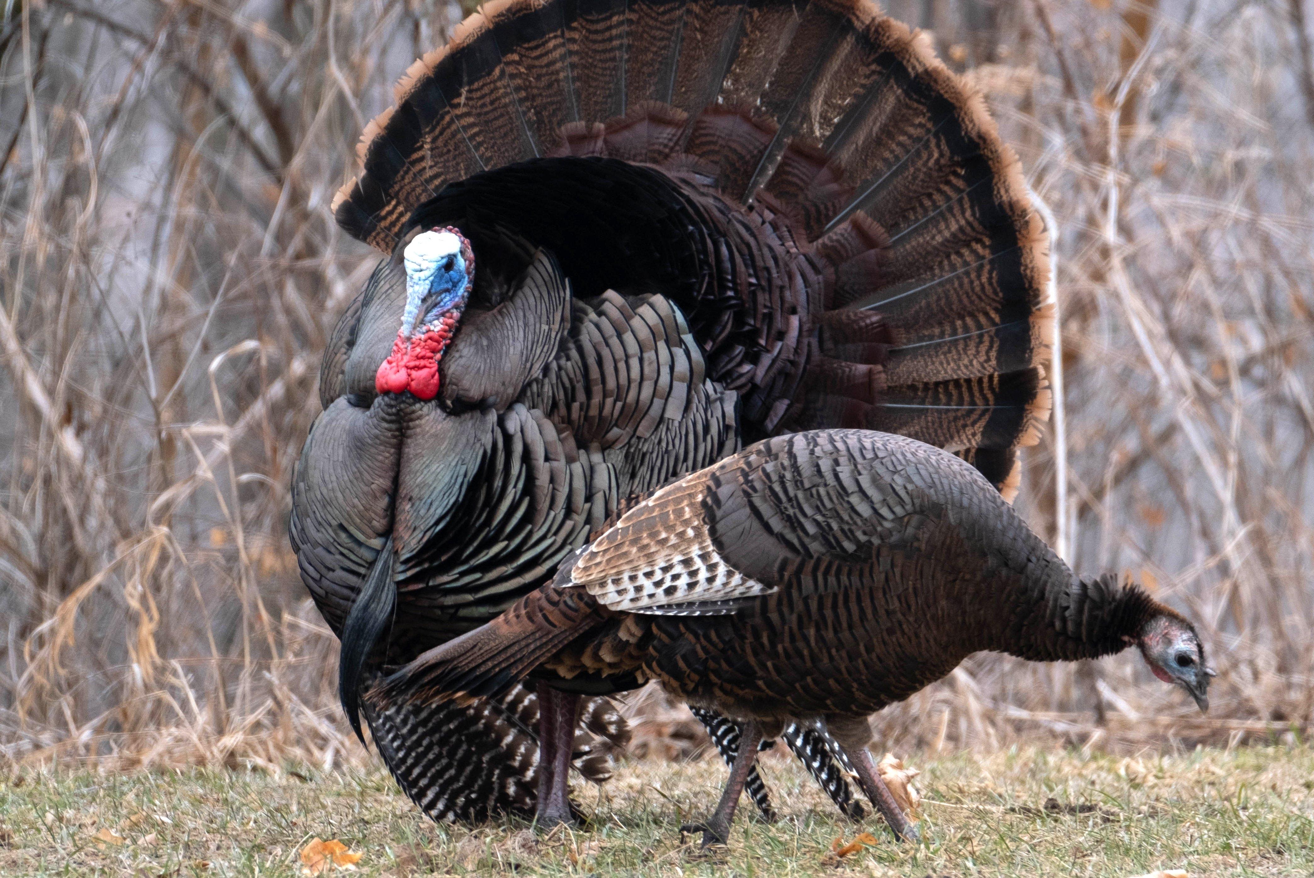 Image: sponsorship_1