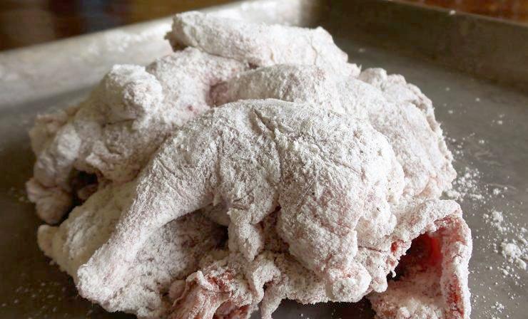 Image: squirrel_buffalo_1