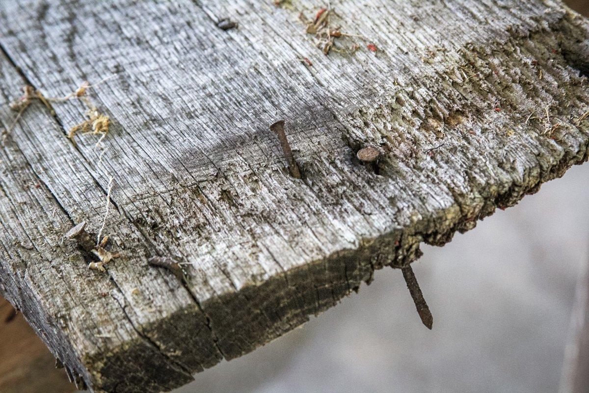 Inspect Barn Wood