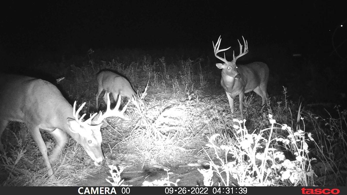 Big Buck Busts Us On Youth Opener! 