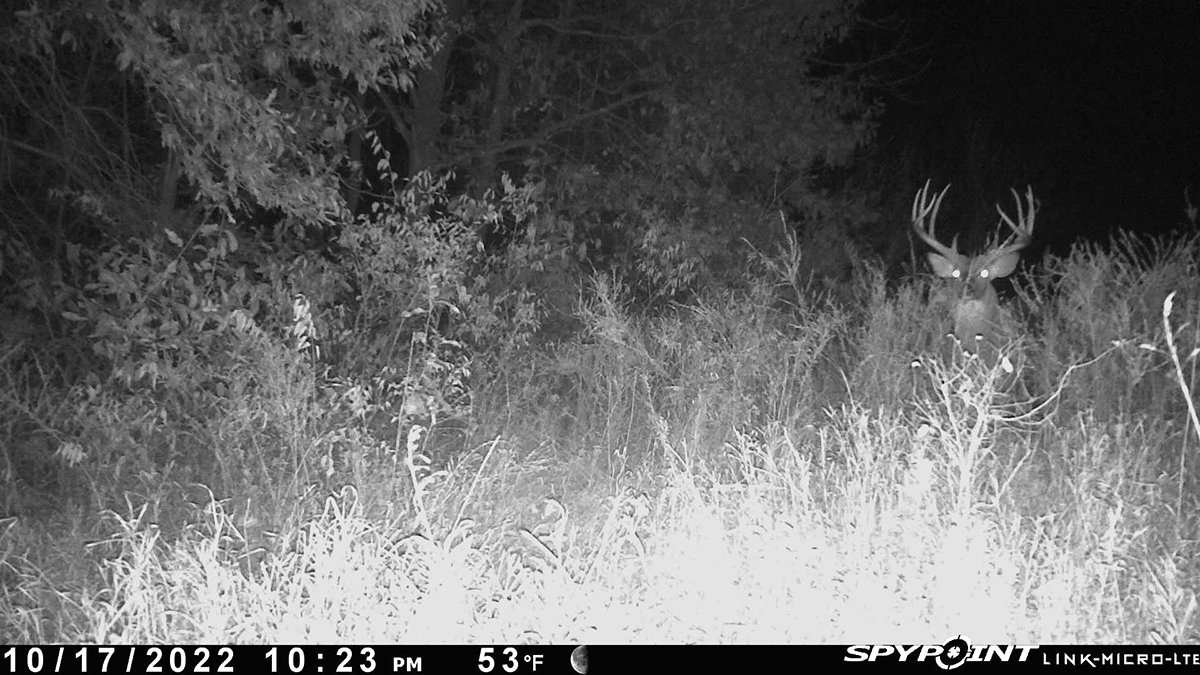 When the huge buck appeared on a trail camera, Stoll buckled down and started hunting the giant deer. Image courtesy of Emanuel Stoll