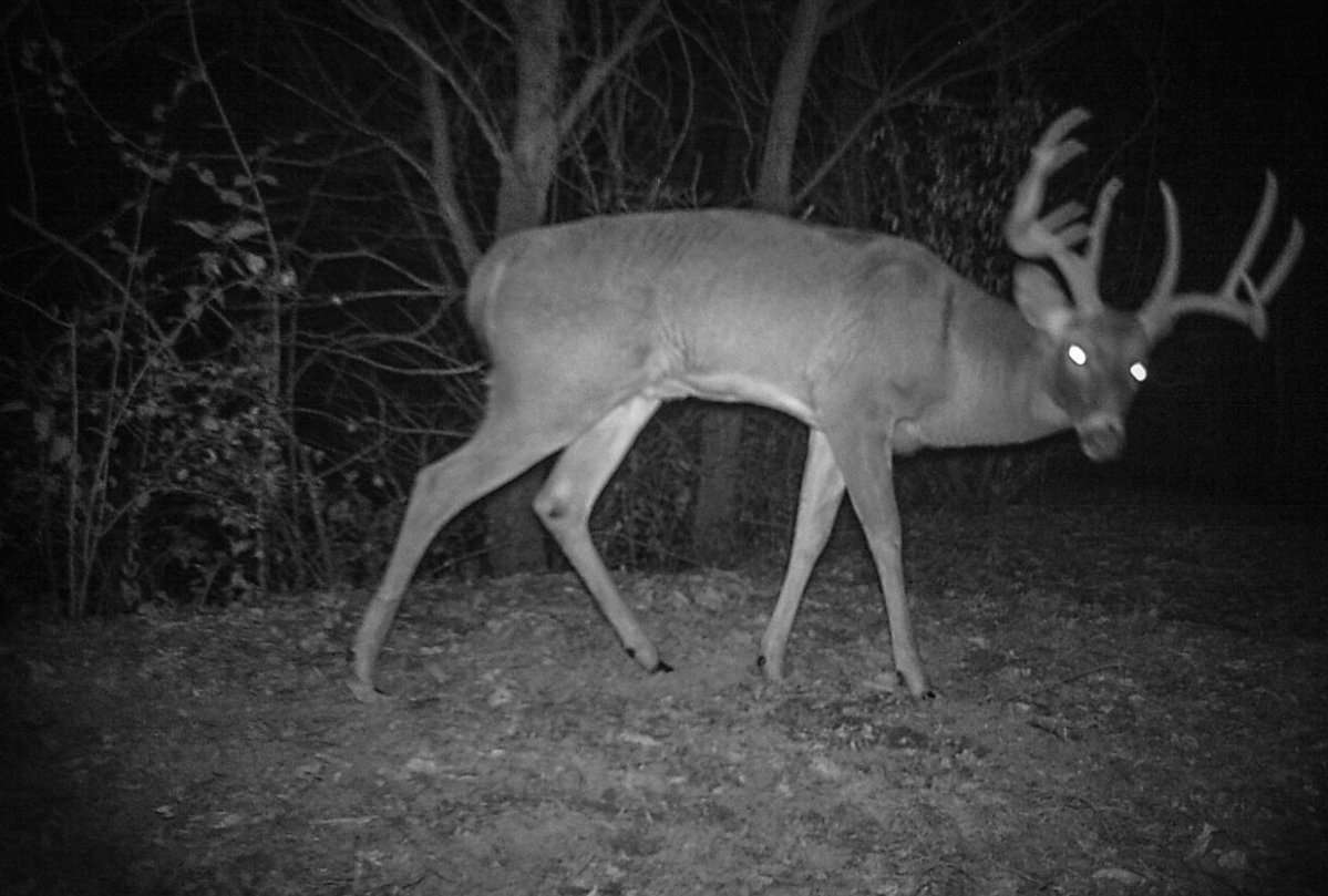 In 2017, the buck was already exhibiting a world-class frame. (Photo courtesy of Devan Sullivan)