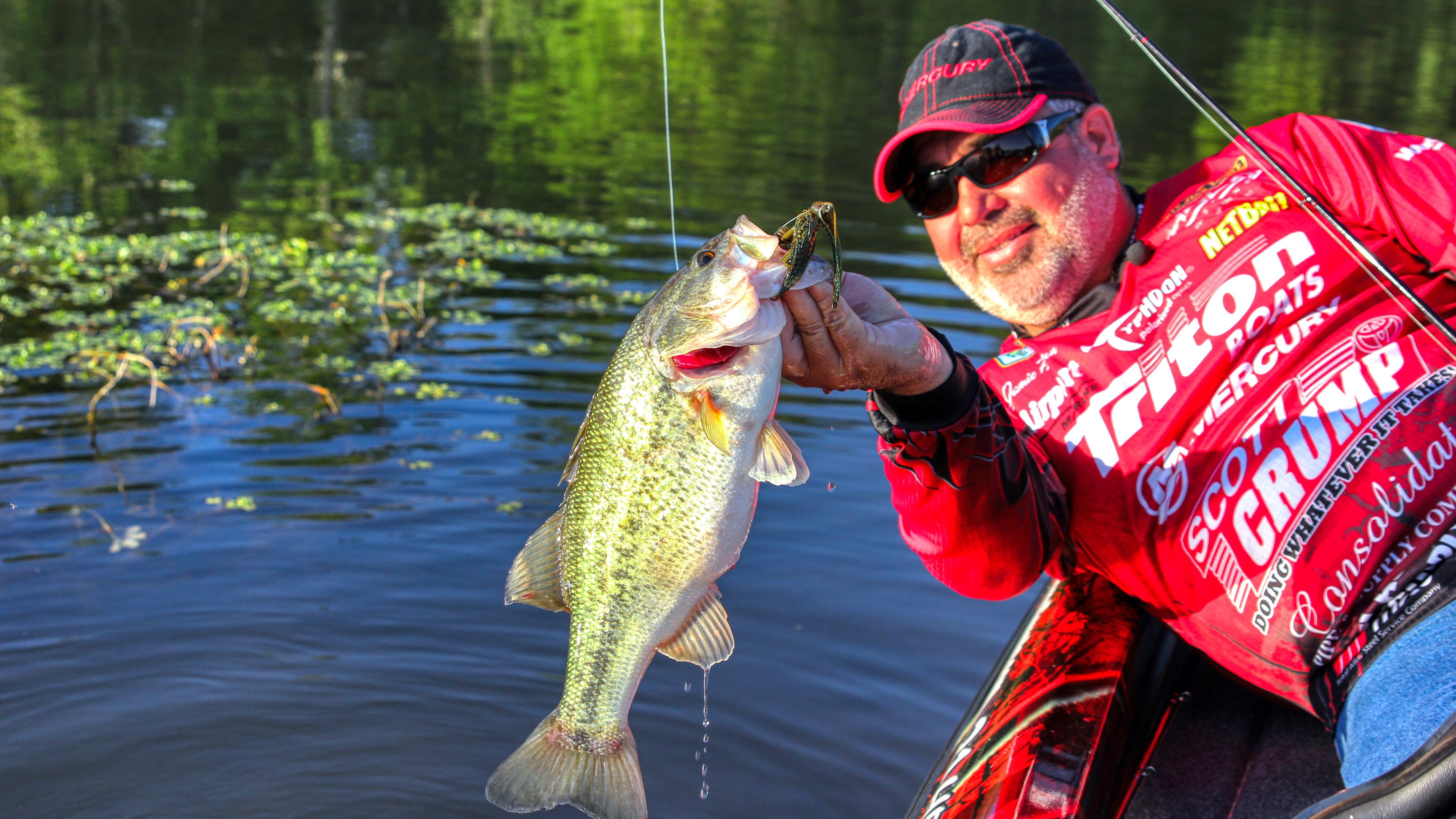 Image: swim_jig_4