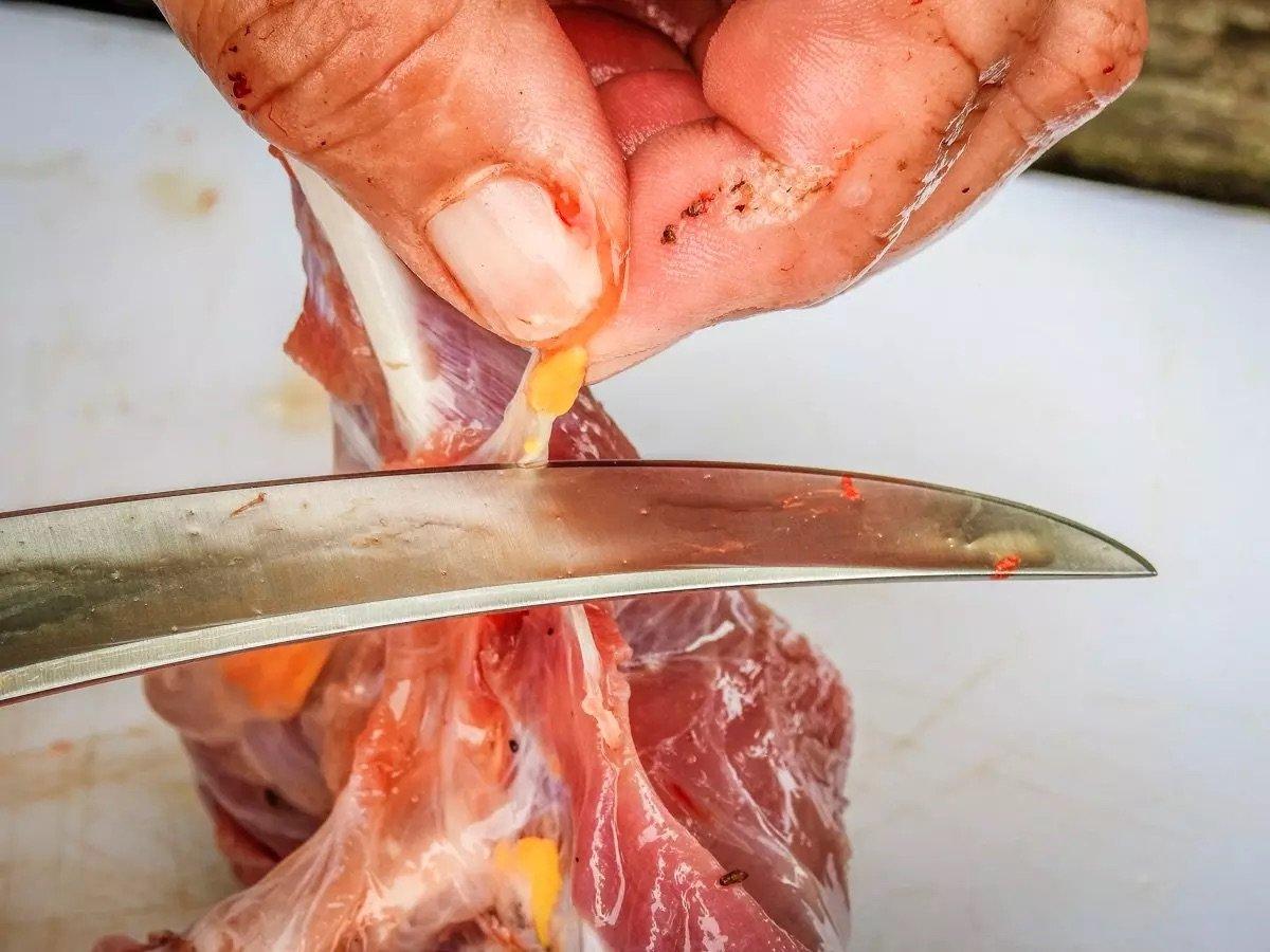 Image: t2t_snapping_13