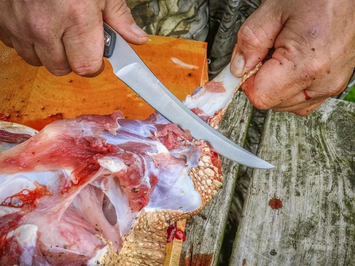 Image: t2t_snapping_8