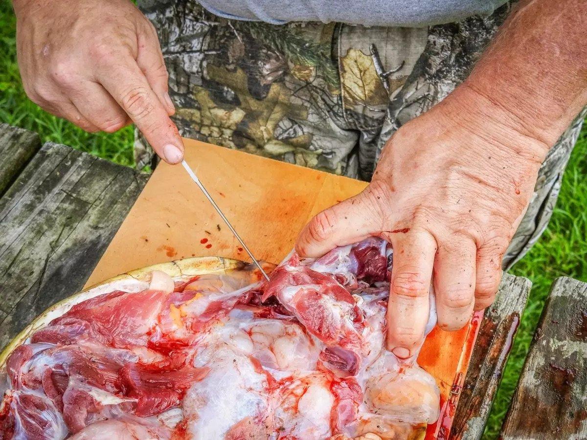 Image: t2t_snapping_9