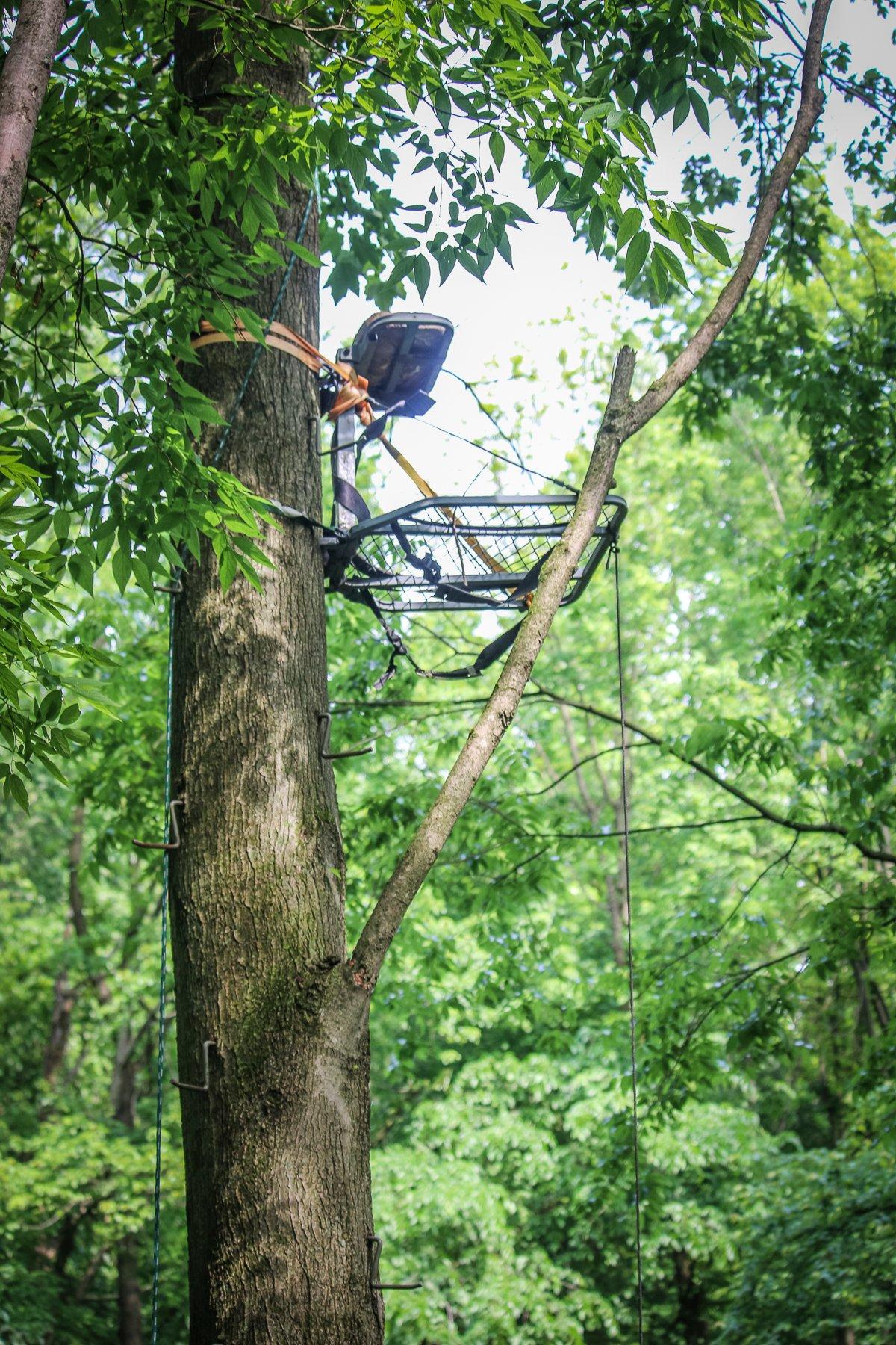 Having pre-hung stands already in place is a great way to prepare for deer season. Image by Honeycutt Creative