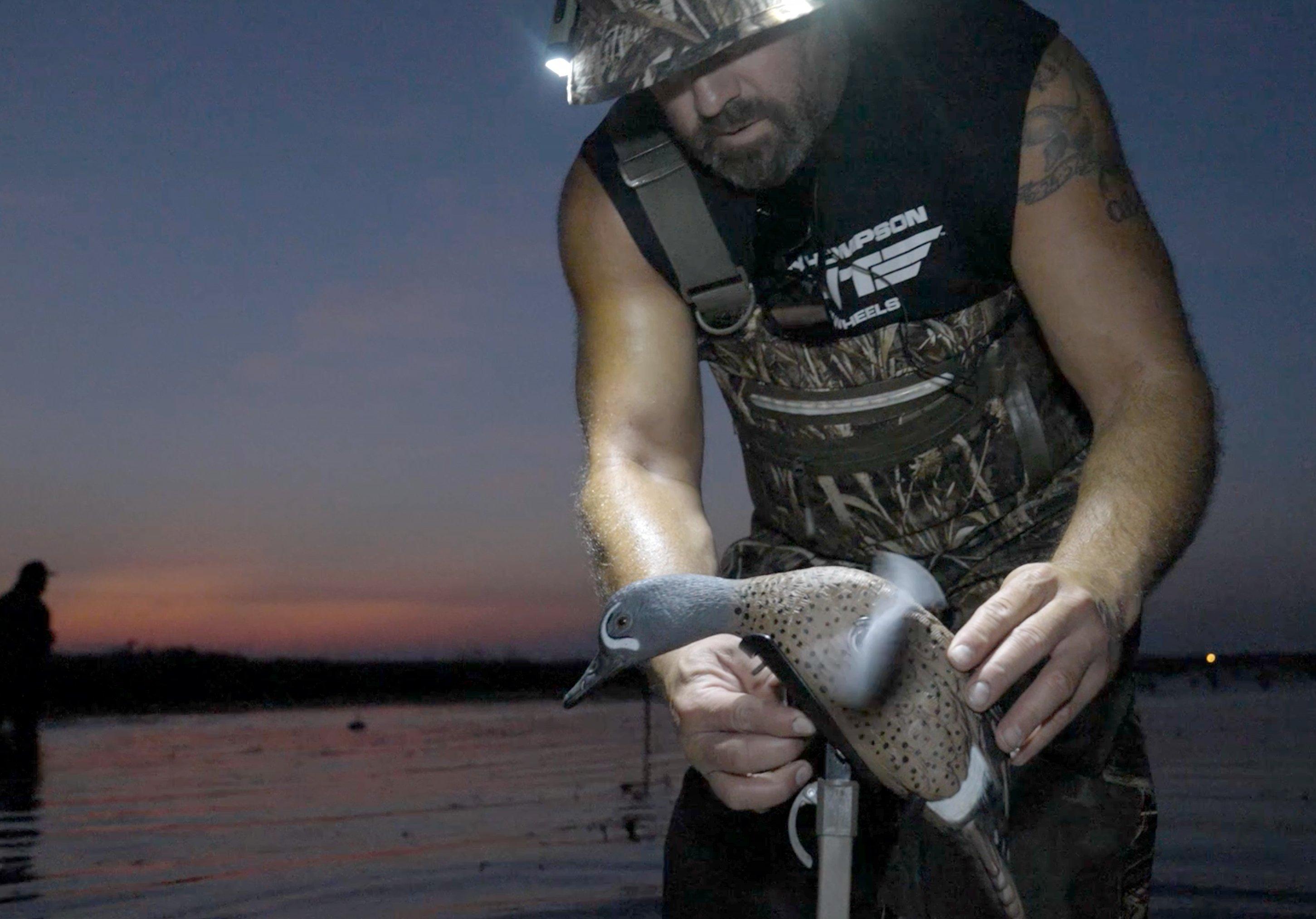 Image: teal_hunting_6