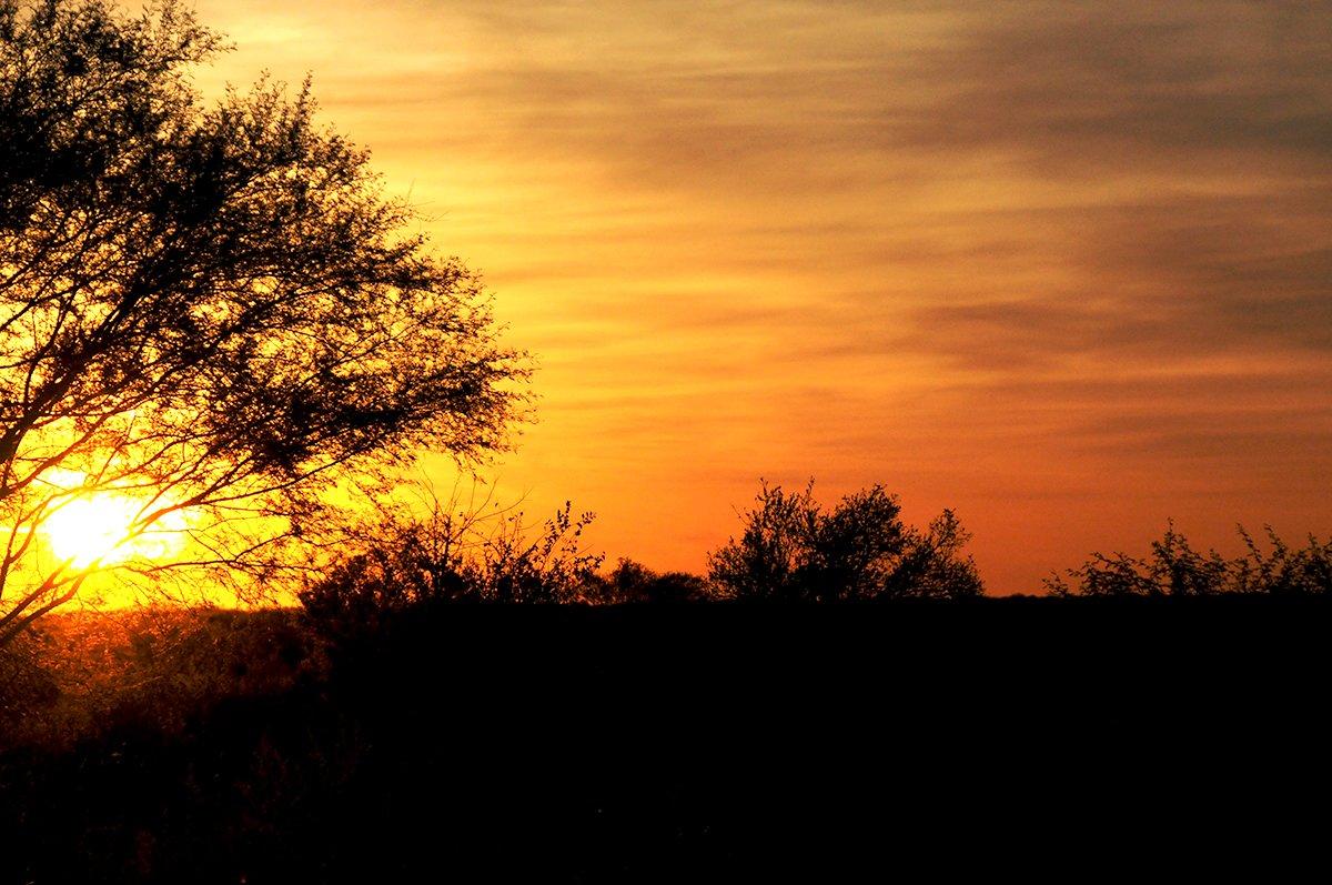 Texas Deer Hunt Sunset No. 2