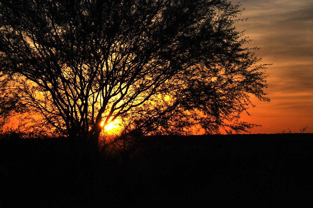 Texas Deer Hunt Sunset