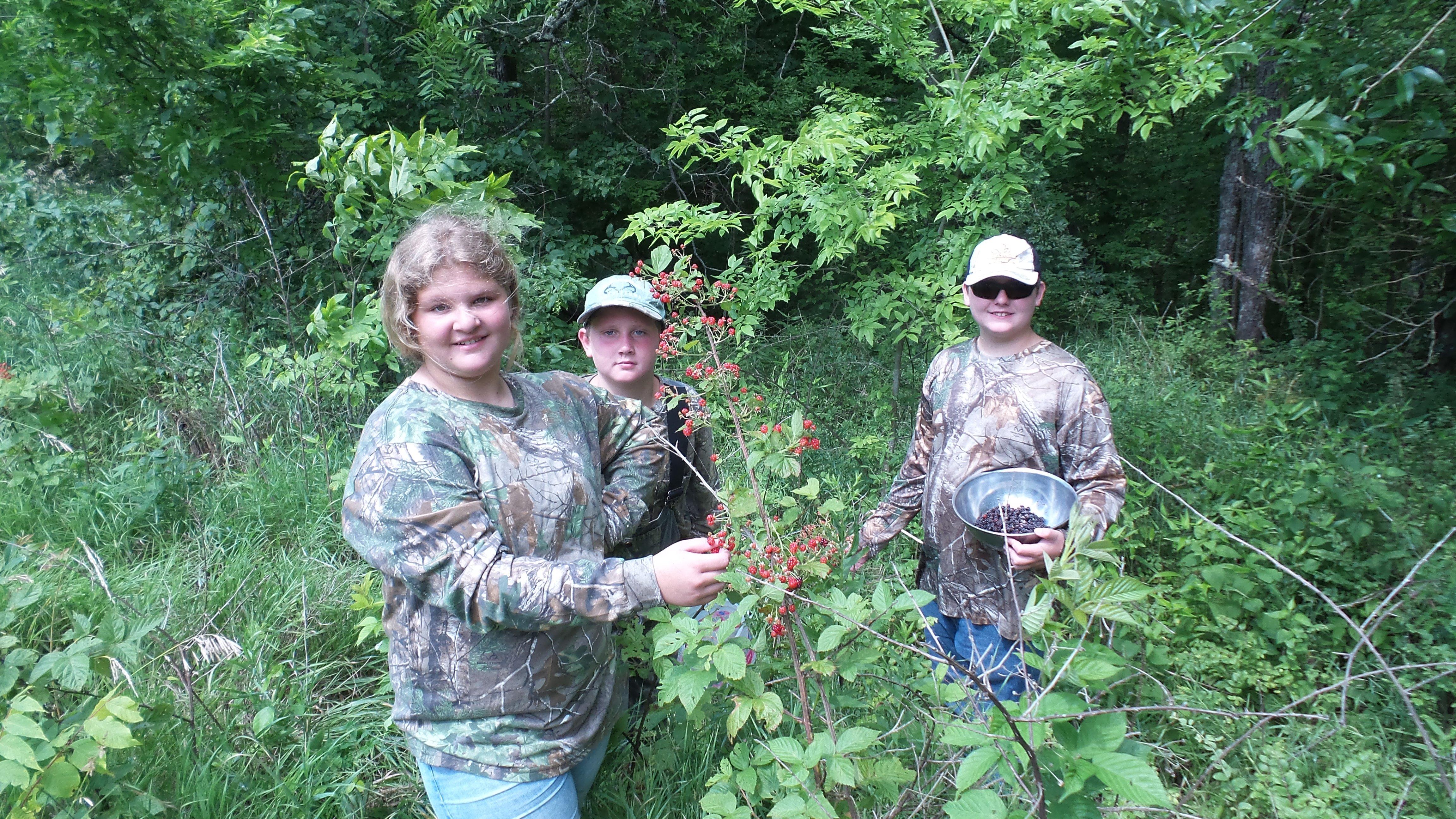 The kids donned long sleeved shirts and went blackberry picking this morning.