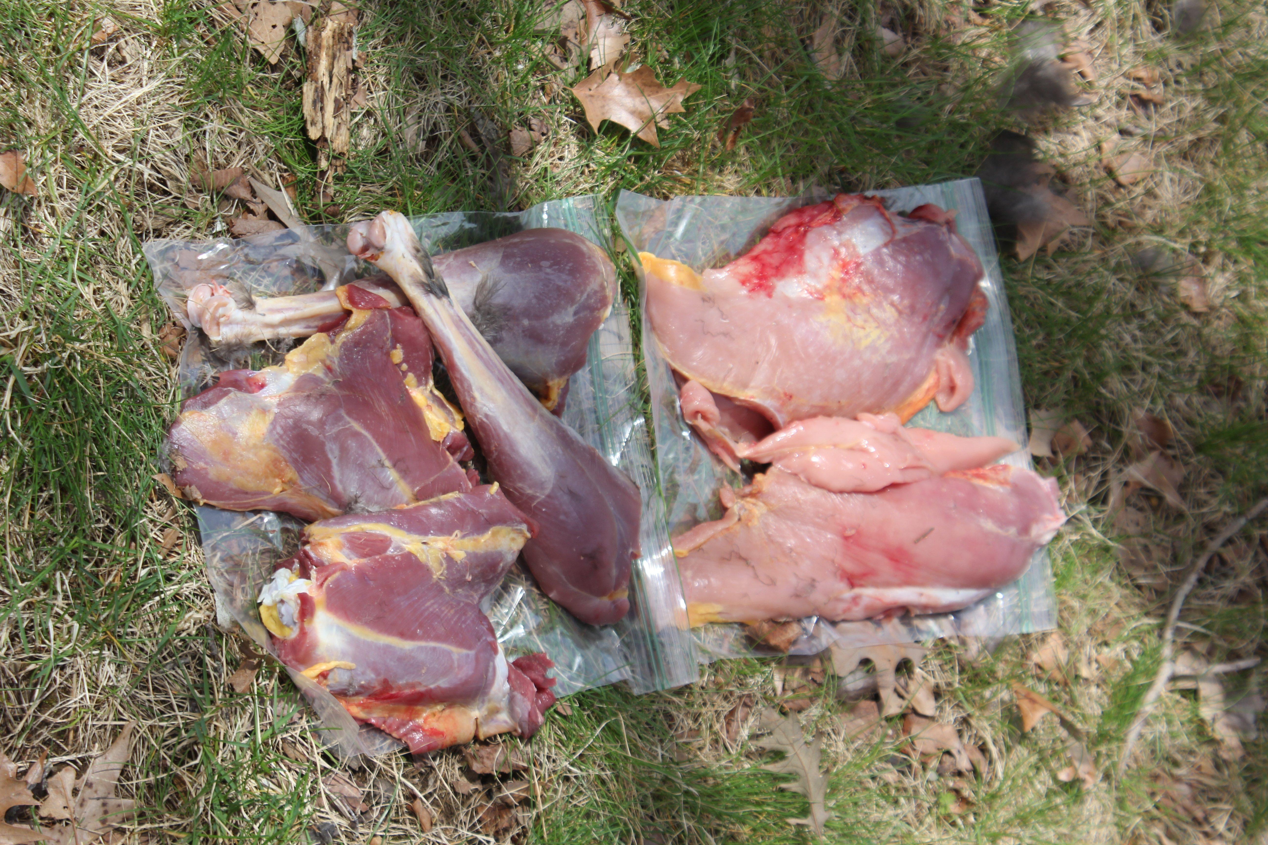 The finished products from a skinned turkey.