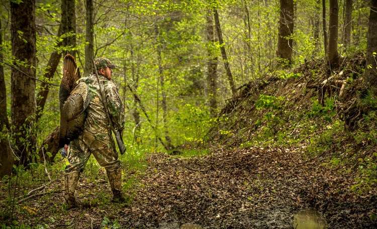 How to Hunt Turkeys in Thick Late-Season Foliage Image