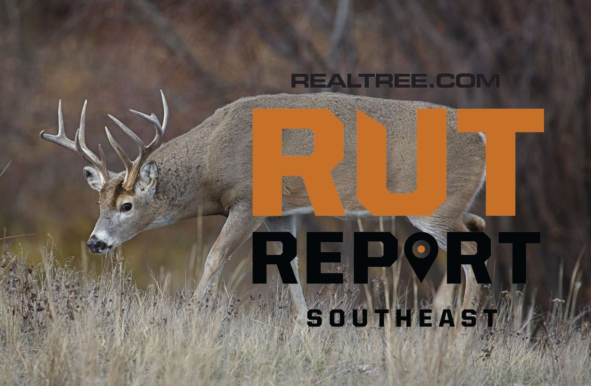 Southeast Rut Report: Peak Rut in Some Areas, Post Rut in Others  - tom_reichner-se_rr