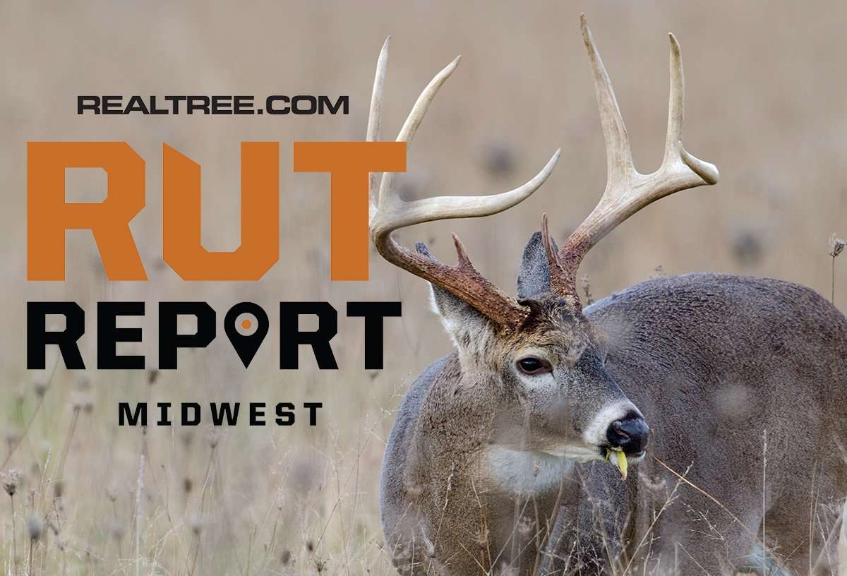 Midwest Rut Report: Big Bucks Are Moving Despite Warm Temperatures - tony_campbell-shutterstock-mw